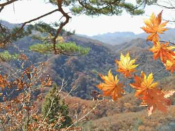 大樂(lè)透22018期開(kāi)獎(jiǎng)結(jié)果查詢(xún)